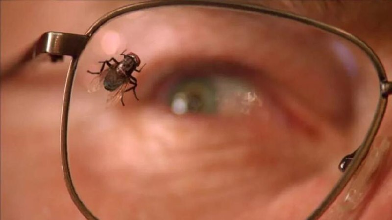 Breaking Bad  3x10 "Fly"